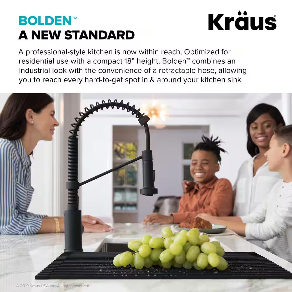 Bolden Single Handle Pull down Sprayer Kitchen Faucet with Dual Function Sprayhead in Stainless Steel/Matte Black